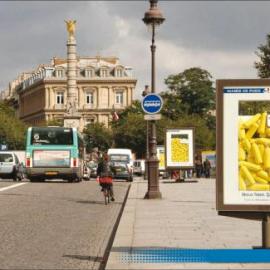 City hall of Paris 户外广告