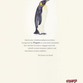 Koelner Haie 平面广告