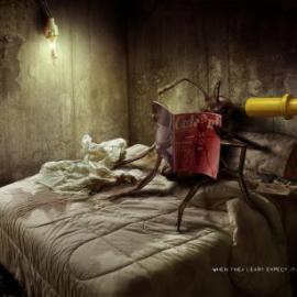 Mortein 平面广告