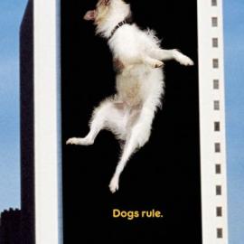 Pedigree 户外广告