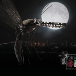 BuxAway 蚊香广告