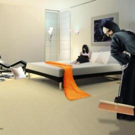 Usha Inverters 平面广告