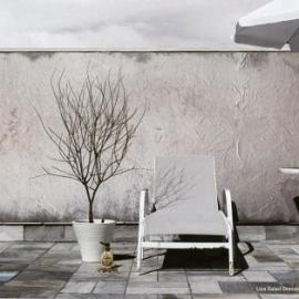 Liza Salad Dressings 平面广告