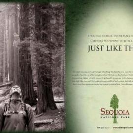 红杉国家公园广告