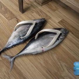 Tolnaftate cream 平面广告