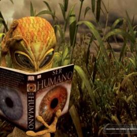 periodicos 百科全书广告