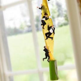 Big House Communications 平面广告