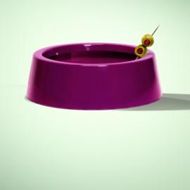 Gari Cruze 平面广告设计