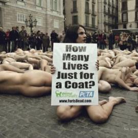 Playboy最新平面广告