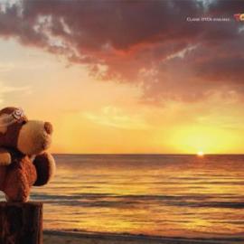 Toys'R'Us 平面广告