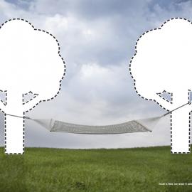 TreeUtah 平面广告