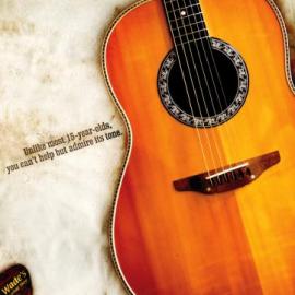 Wade's 吉他平面广告