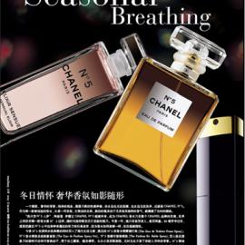 designblue 平面广告欣赏