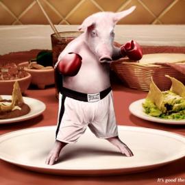 Alka Seltzer 平面广告设计