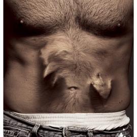 GASTRO 平面广告设计