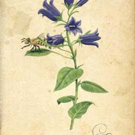 LEBC 平面广告设计