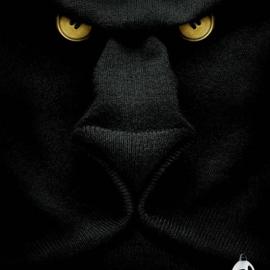 perlama经典广告海报设计欣赏