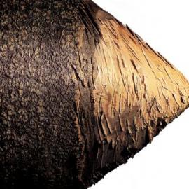 国外的超炫创意广告