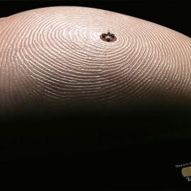 Tensoplastic创可贴广告