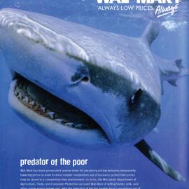 芝加哥设计师Becky Welbes作品欣赏