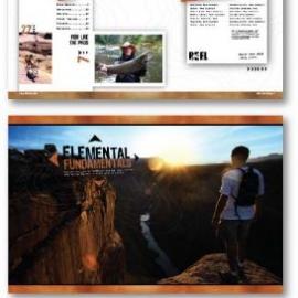 Bloomington 平面广告