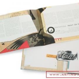 Daren Guillory广告设计