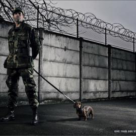 Pedigree 广告设计欣赏