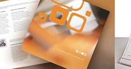 CelisBernardo 平面设计