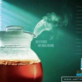 Taj Mahal 印度餐厅平面广告