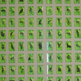 国美张江校区视觉传达系07届本科毕业作品展