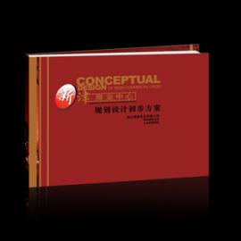 人民公设 新津商业中心规划设计方案