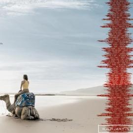 Vodafone Mobile Music 平面广告设计欣赏