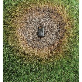 中国广告长城奖金奖作品欣赏(三)