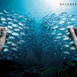 中国广告长城奖金奖作品欣赏(二)