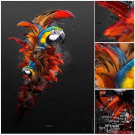 波兰新锐设计师Maciej Mizer作品欣赏