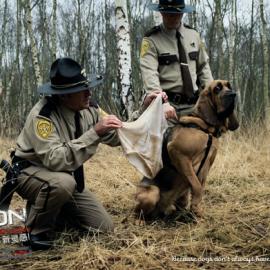 Epica年度广告获奖作品 灵感点燃创意