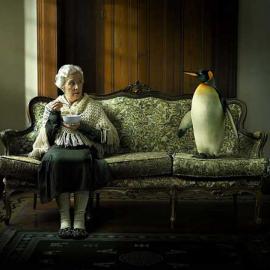 Platinum精彩广告欣赏