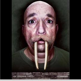 令人目瞪口呆的本田广告