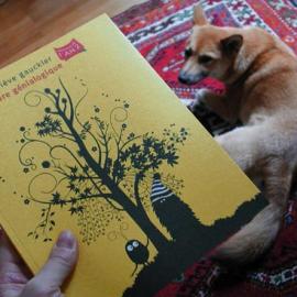 Genevieve Gauckler 平面设计