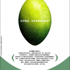 红鹤沟通作品-绝对橄榄创作年鉴