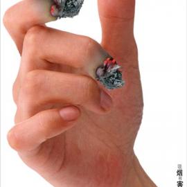 [会员作品]天堂鸟创意平面设计