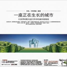 万科（成都）魅力之城――――报版