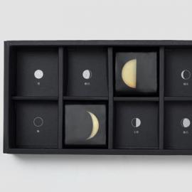 台湾台北设计师Tsan-Yu Yin的Citrus Moon创意月饼包装设计