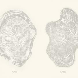 R&Aring; 有机皮肤护理产品包装及点面设计BY Jone Fjellstad