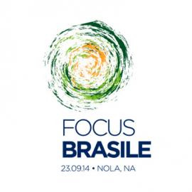 Focus Brasile会议VI形象设计欣赏