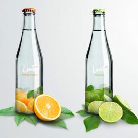 LEVIT&Eacute;矿泉水包装