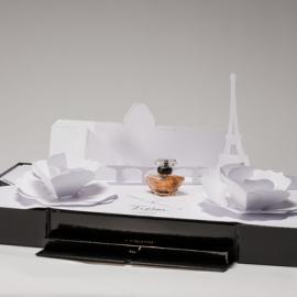 罗慧夫颅颜基金会STUDIO项目