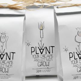 播下梦的种子，慢慢长大