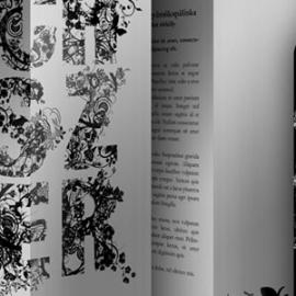 匈牙利Schiszler Silver 优质酒包装