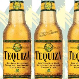 世界著名啤酒品牌精品荟萃（六）